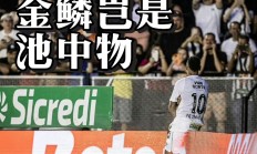 开云体育app-包含智利绝杀哥伦比亚，内马尔绝境逆转的词条