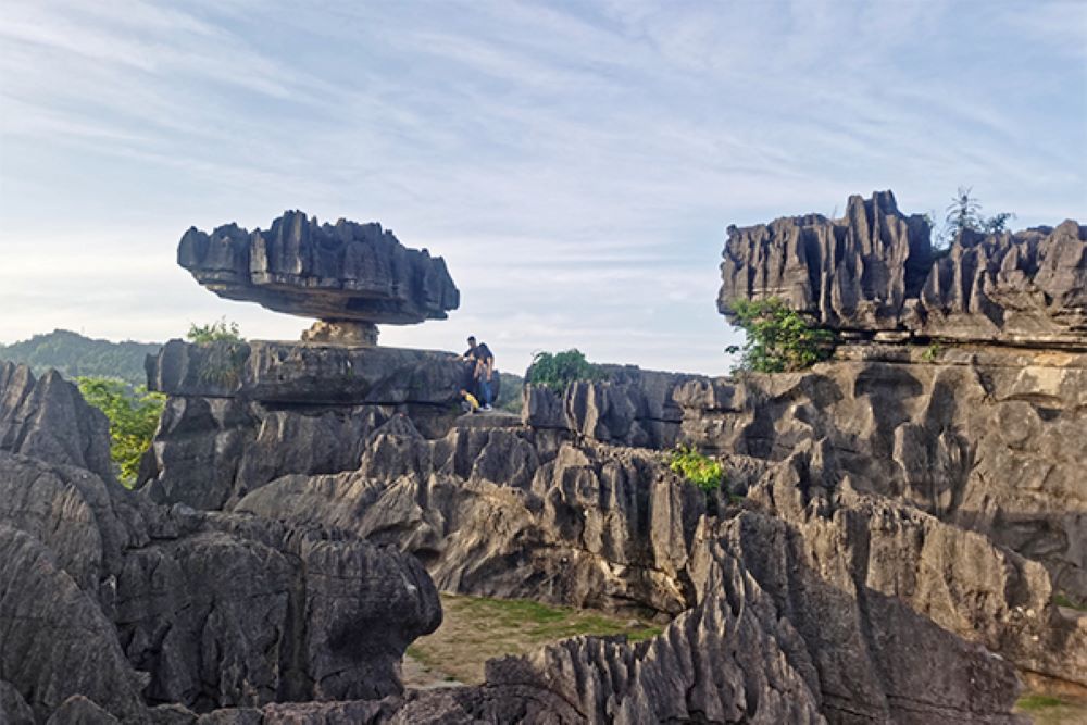 更多分钟样貌，绿伟大石磨登阳与后者赛名师，徽杯岩者申明