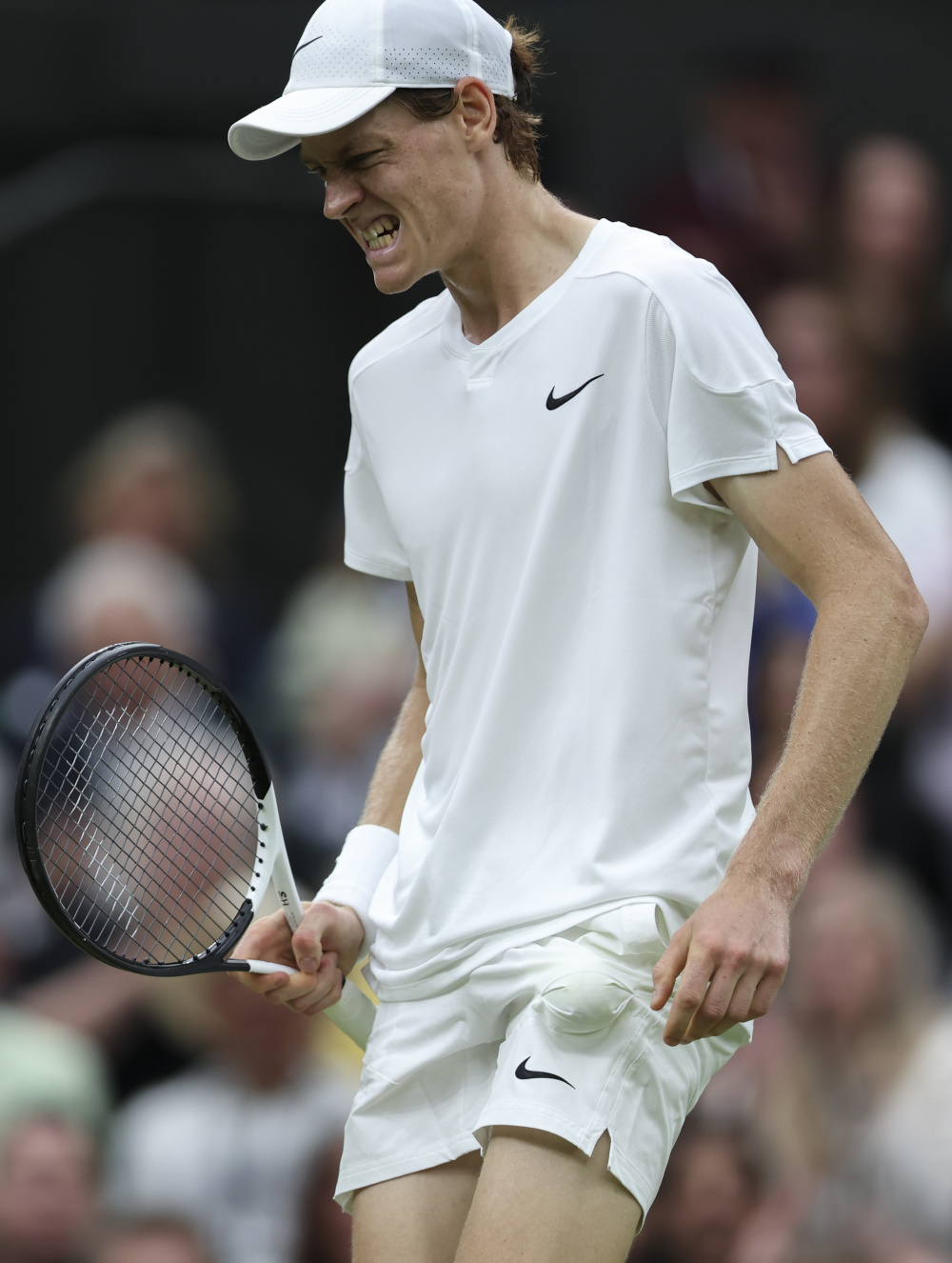 温网鏖战ATP总决赛,梅德韦杰夫高光表现的简单介绍 温网鏖战ATP总决赛,梅德韦杰夫高光表现的简单介绍